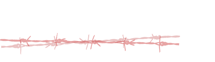 舟遊記 の口コミ 評価 評判の真相は 自腹5万円で無料予想を検証