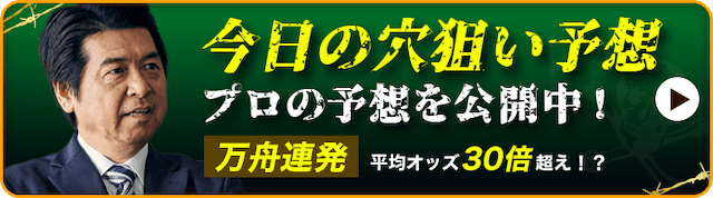 競艇穴狙い今日_バナー