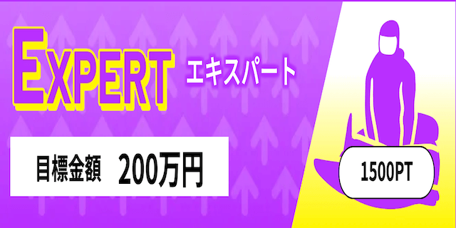 EXPERT画像