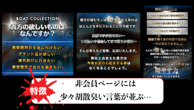 ボートコレクションの概要2