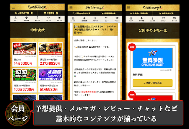 KYOTEININJAの概要3