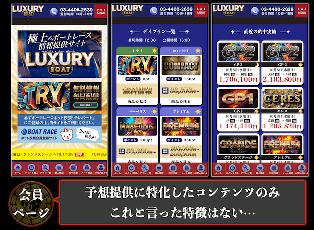 ラグジュアリーボートの概要3