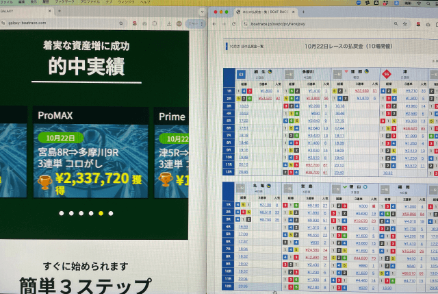 的中実績の捏造を検証