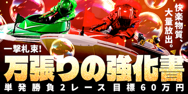 万張りの強化書画像