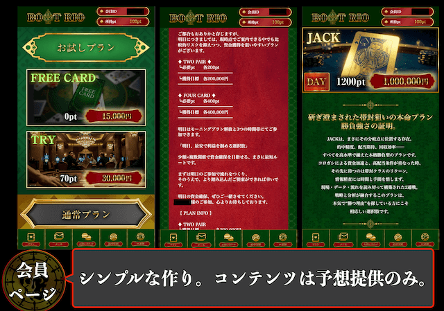 ボートリオの概要3