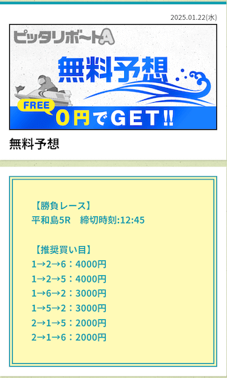 ピッタリボートA